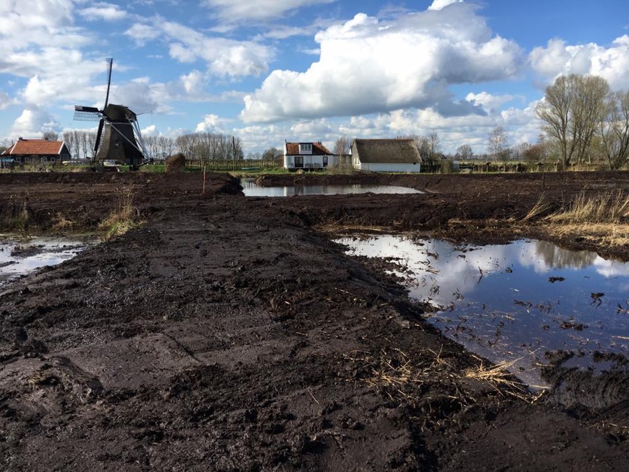 Afplaggen rietvelden Rottige meente